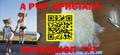 шишки Кандалакша