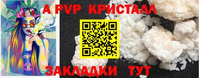 шишки Кандалакша